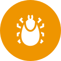 pest control bug
