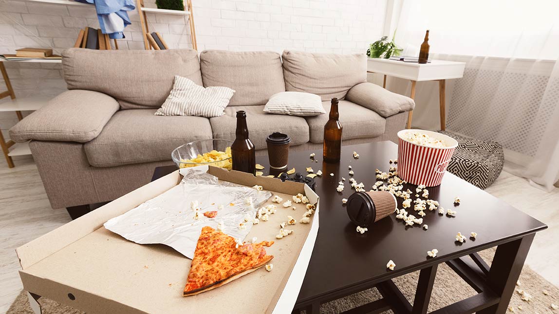 prevent pests with a clean home