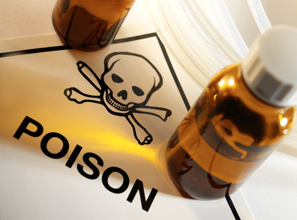poison control for pests to combat voles