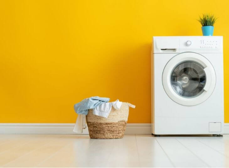 dealing with bedbug infestations