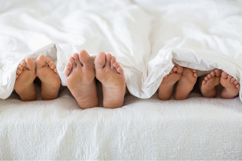 keeping your house bedbug free