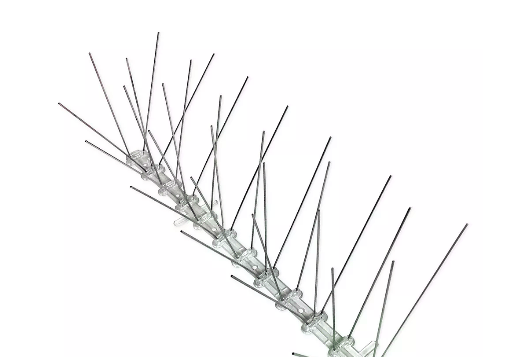 bird control spikes