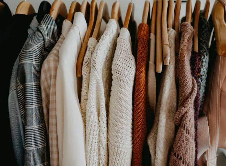 clothes moth
