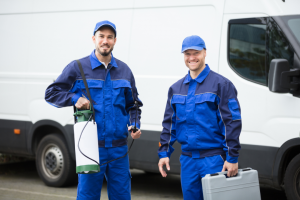 pest control near me
